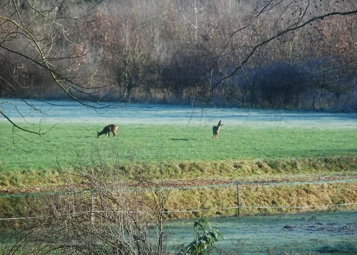 B&btob Steengroeve Bed and breakfast 3*