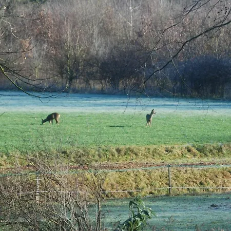 B&btob Steengroeve Отель типа 